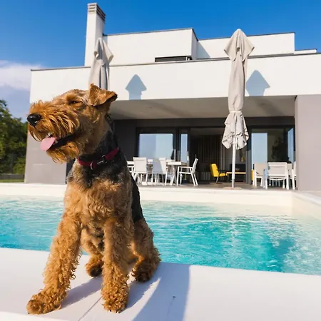 ヴィラ Boiky - Private Pool And Amazing Sea View, Istria *