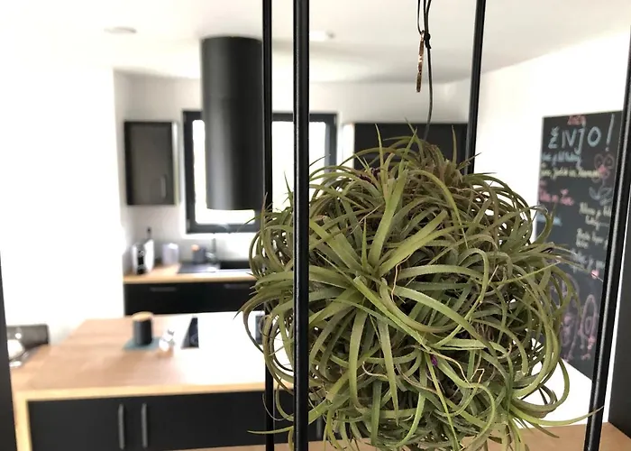 Boiky - Private Pool And Amazing Sea View, Istria Villa *